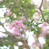 雑記（8月19日）お盆休み明け