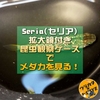 セリアの拡大鏡付き昆虫観察ケースを使えばメダカは大きく見れるのか？