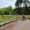 花の文化園🌷@大阪府河内長野市