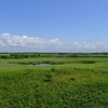 勇払原野