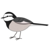 セキレイのフリーイラスト素材