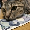 やっぱり現金が一番？