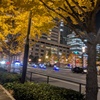 師走の街を駆け抜ける