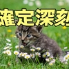 【備忘録】初めて青色申告からの確定申告（フリーランス）