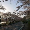 【番外編】桜の金沢―“来てよかった”と必ず思える場所―