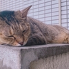 :00041　眠すぎる