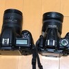 Nikon D7500購入