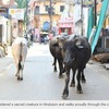 What are the severe problems in India, where Hinduisation is progressing rapidly? - 2022.12.31