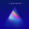 Luminar AI 先行アクセス→できました