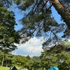真夏のアウトドアを制する冷却の覇者