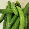 野菜をたくさんいただいたので、いつもの「だし」を作りました。