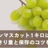 シャインマスカット1キロって何房？食べきり量と保存のコツも解説