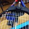 人生初の『二本張り』その③あっさり終了、なるほどね