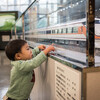 電車大好きの息子くんを東武博物館へ連れて行って遊んできました