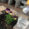 ジェレミー確認
