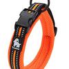 【愛犬家レビュー】J&C Paradiseの首輪は本当に「痛くない」？3M反射で夜道も安心！
