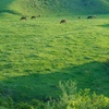 アーシング　～Earthing　大地にふれる健康法