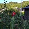 秋の風（秋の虫）