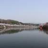 【庄原 上野公園の桜】_広島県庄原市