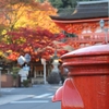 ご近所散歩　長等神社～三井寺の紅葉