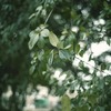 警察署から何度も電話がかかってくる【フォト雑記】