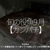 2884食目「旬の役魚 9月【カンパチ】」今が旬★　美味しくて＋栄養価が高くて＋安くて＝元気にしてくれる季節の魚介を紹介