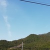 お花見日和　青空