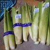 季節の変わり目なので、旬のお野菜を調べてみました。