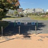 昨日は昼休みランニング12km