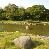 世田谷区立兵庫島公園（二子玉川駅近くの水辺の公園）
