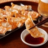 餃子LOVERS必見！人気の皮2種を徹底比較してみた