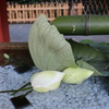 【鎌倉いいね】超早朝鎌倉さんぽ。猛暑の中で咲く八幡様の蓮。