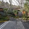 祇王寺（往生院）は苔の庭園が美しい京都のお寺