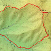 平標山のお花畑