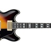 JSM10-VYS [John Scofield Model] /Ibanez