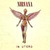 皮肉な人への手向け　―Nirvana