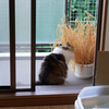 お盆やすみ