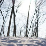 今年初登山！藻岩山でトレーニングを兼ねて新アイテムを試してきた