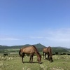 沖縄の島々を巡る旅　最終回