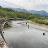 4月28日(月)荒川柳大橋の河川情報