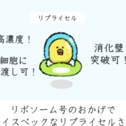 イラストで学ぶ健康食品 ねこやまローカボ日誌 イラストで学ぶ健康食品 ねこやまローカボ日誌