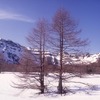 浅間山麓の四月