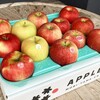 予約開始！旬の青森りんご🍎🍏おまかせ5品種3kg 訳ありご家庭用 特別栽培りんご食べ比べ 詰合せ 希少品種が入るかも？：青森県産の品種おまかせ｜食べチョク｜産地直送(産直)お取り寄せ通販 - 農家・漁師から旬の食材を直送
