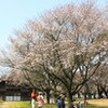 「駒場公園探鳥会」、33種…。