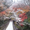 花貫渓谷　吊橋の雪