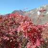 紅葉の立山黒部アルペンルートはまさに絶景だった！②【富山：大観峰・黒部平・黒部ダム】