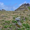 リメイク山歩記／2015年6月7日、ピーカンの月山（３）