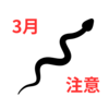【3月は要注意！】奄美大島のハブ出没情報と対策ガイド｜地元に伝わる話
