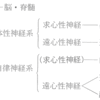 ベタナミンとリタリン服用の休止からやっと２週間が経ちました｜特発性過眠症と猫と