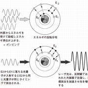 光のいろは